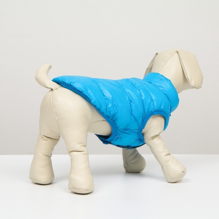 Куртка для собак двухсторонняя с принтом, размер 10 (ДС 25 см, ОГ 34 см, ОШ 24 см),голубая Куртка для собак двухсторонняя с принтом, размер 10 (ДС 25 см, ОГ 34 см, ОШ 24 см),голубая