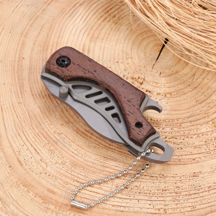 Нож перочинный складной Нож перочинный складной "Странник" 14см, клинок 52мм/2мм, рукоять дерево