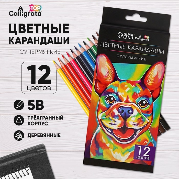 Карандаши 12 цветов TOP Calligrata, в картонной коробке, диаметр грифеля - 3мм, 5B Карандаши 12 цветов TOP Calligrata, в картонной коробке, диаметр грифеля - 3мм, 5B