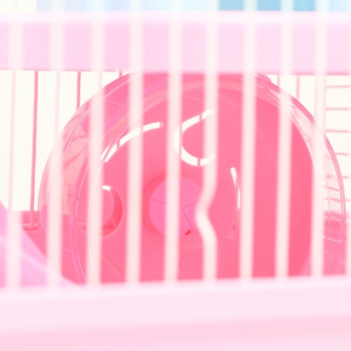 Клетка для грызунов Клетка для грызунов "Пижон" с замком, 31 х 24 х 27 см, розовая