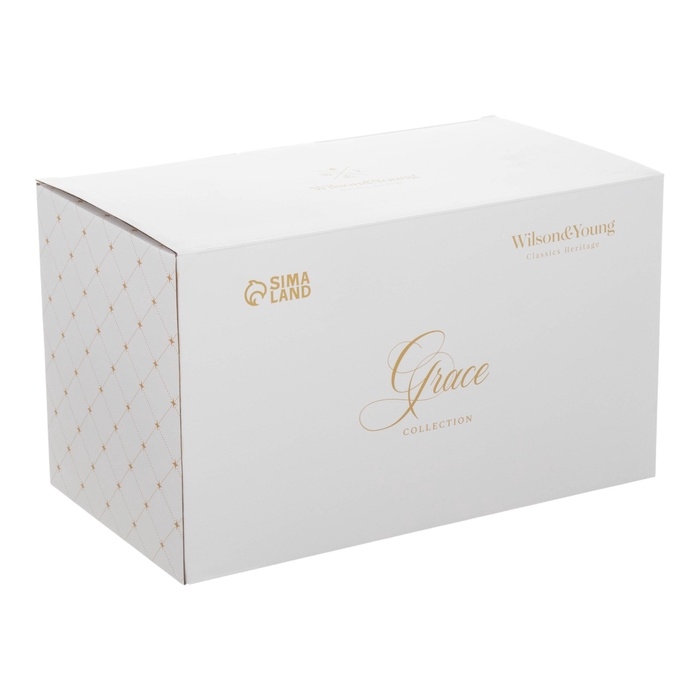 Чайный сервиз WY Grace, 20 предметов, чайник 1000 мл, 6 кружек 250 мл, 6 блюдец d=15,5 см, 6 тарелок пирожковых d=20,5 см, фарфор Чайный сервиз WY Grace, 20 предметов, чайник 1000 мл, 6 кружек 250 мл, 6 блюдец d=15,5 см, 6 тарелок пирожковых d=20,5 см, фарфор