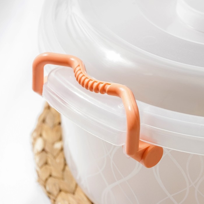 Контейнер пищевой, 5 л, прозрачный, ручки МИКС