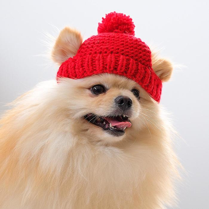 Шапка вязаная для собак, XS-S (объем головы 22-24 см, высота 7,5 см), микс Шапка вязаная для собак, XS-S (объем головы 22-24 см, высота 7,5 см), микс