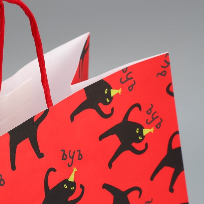 Пакет подарочный крафтовый, упаковка, «Поздравляю», 28 х 32 х 15 см Пакет подарочный крафтовый, упаковка, «Поздравляю», 28 х 32 х 15 см