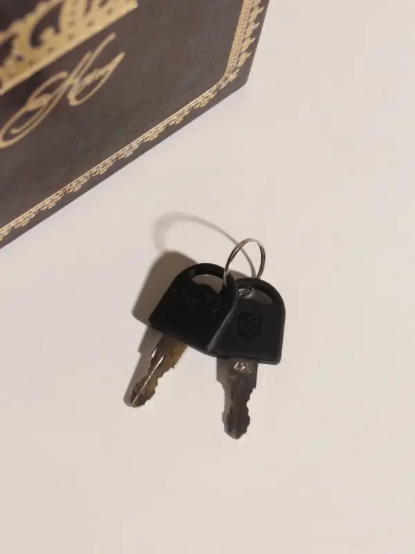 Шкатулка - книга сейф &laquo;Король&raquo;, дерево, искусственная кожа, 26&times;17&times;5 см