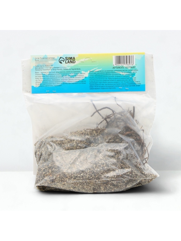 Флокс «Старфайр» корневище в пакете с торфогрунтом, р-р I, 2 шт.