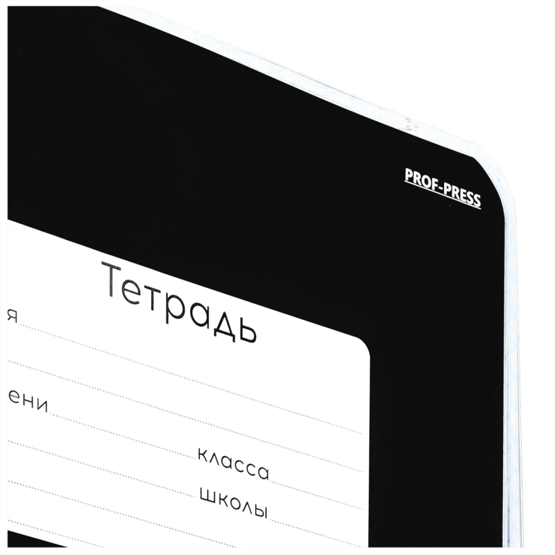 Тетрадь КЛЕТКА 24л. КЛАССИКА (ЧЁРНАЯ) цвет.мелов.обл 24-9155
