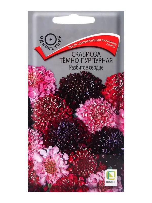 Семена цветов Скабиоза темно-пурпурная Разбитое сердце, 10шт Семена цветов Скабиоза темно-пурпурная Разбитое сердце, 10шт