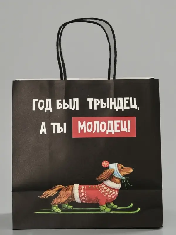 Пакет подарочный крафт &laquo;Молодец&raquo;, 22&times;22&times;11 см