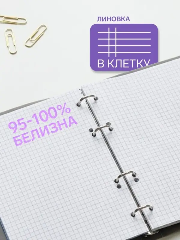 Тетрадь на кольцах Calligrata A5, 80 листов, в клетку, обложка ПВХ, чёрная