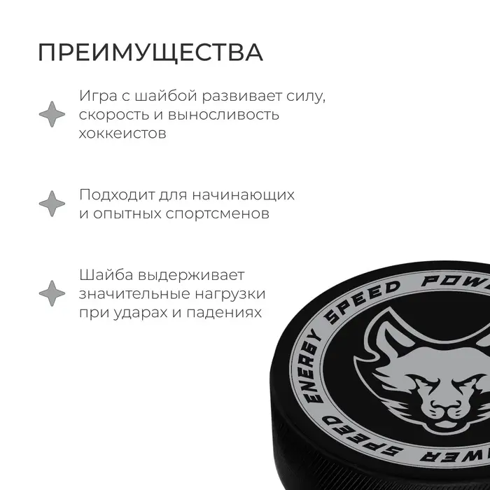 Шайба хоккейная Winter Star, взрослая, d=7.6 см