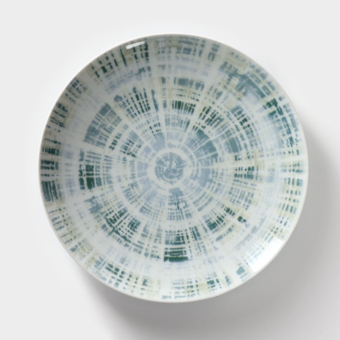 Тарелка фарфоровая «Тортуга», d=24 см Тарелка фарфоровая «Тортуга», d=24 см