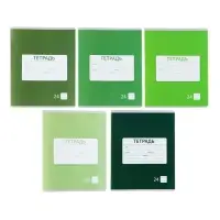 Тетрадь 24 листа в линейку Calligrata &laquo;Однотонная Школьная. Эконом&raquo;, обложка мелованная бумага, серые листы, МИКС