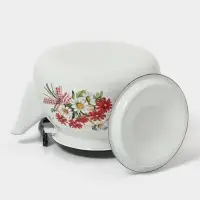 Чайник эмалированный &laquo;Астры&raquo;, 3 л, металлическая ручка, белый