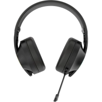 Гарнитура Acer OHR400 монит. BT/Radio/3.5mm (ZL.HDSEE.00G)черн