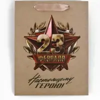 Набор подарочных пакетов &laquo;Праздник&raquo;, 5 шт, 18 &times; 23 &times; 10 см