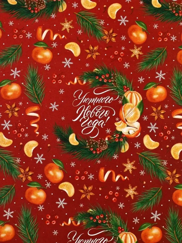 Набор упаковочной бумаги &laquo;Зимняя сказка&raquo;, 4 листа, 70&times;100 см