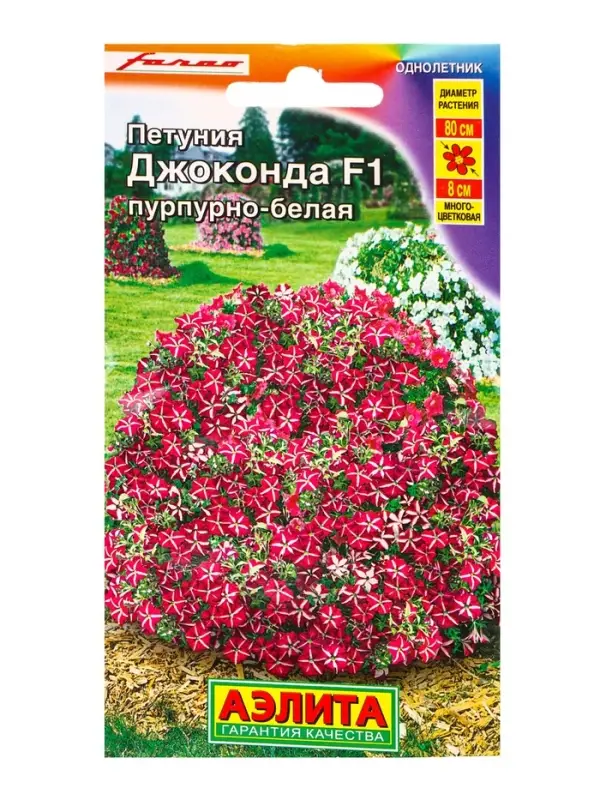 Семена цветов Петуния Джоконда F1 пурпурно-белая (драже в пробирке) С. Farao, Ц/П,5 шт. Семена цветов Петуния Джоконда F1 пурпурно-белая (драже в пробирке) С. Farao, Ц/П,5 шт.