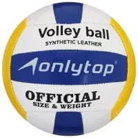 Волейбольный мяч ONLYTOP, машинная сшивка, 18 панелей, р. 5, PVC