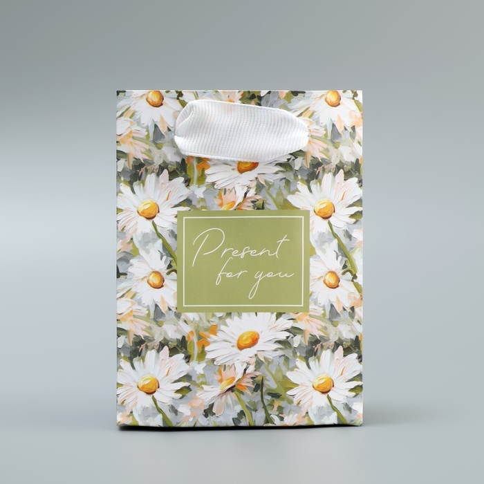 Пакет подарочный ламинированный, упаковка, Present, 9 х 12 х 6.5 см Пакет подарочный ламинированный, упаковка, Present, 9 х 12 х 6.5 см