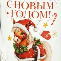 Кружка новогодняя стеклянная «С Новым годом. Пони», 300 мл Кружка новогодняя стеклянная «С Новым годом. Пони», 300 мл
