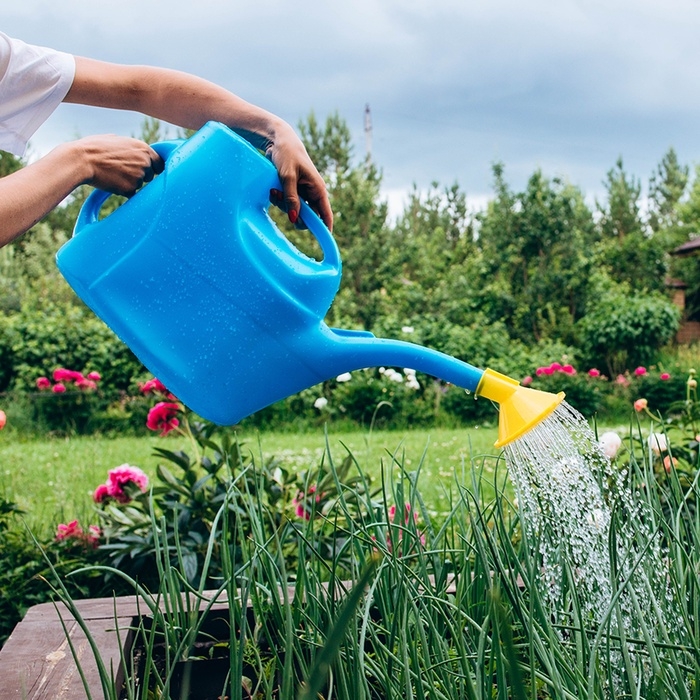 Лейка, 12 л, с рассеивателем, носик d = 30 мм, цвет МИКС Лейка, 12 л, с рассеивателем, носик d = 30 мм, цвет МИКС