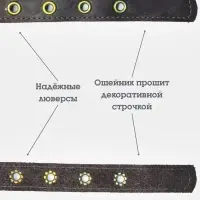Ошейник безразмерный, 40&times;2 см, с подпряжником, кожа, коричневый