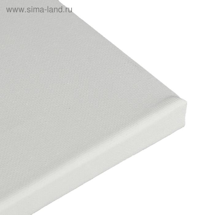 Холст на подрамнике, хлопок 100%, 40 х 50 х 1.8 см, акриловый грунт, мелкозернистый, 280 г/м2  Холст на подрамнике, хлопок 100%, 40 х 50 х 1.8 см, акриловый грунт, мелкозернистый, 280 г/м2 "Студия"