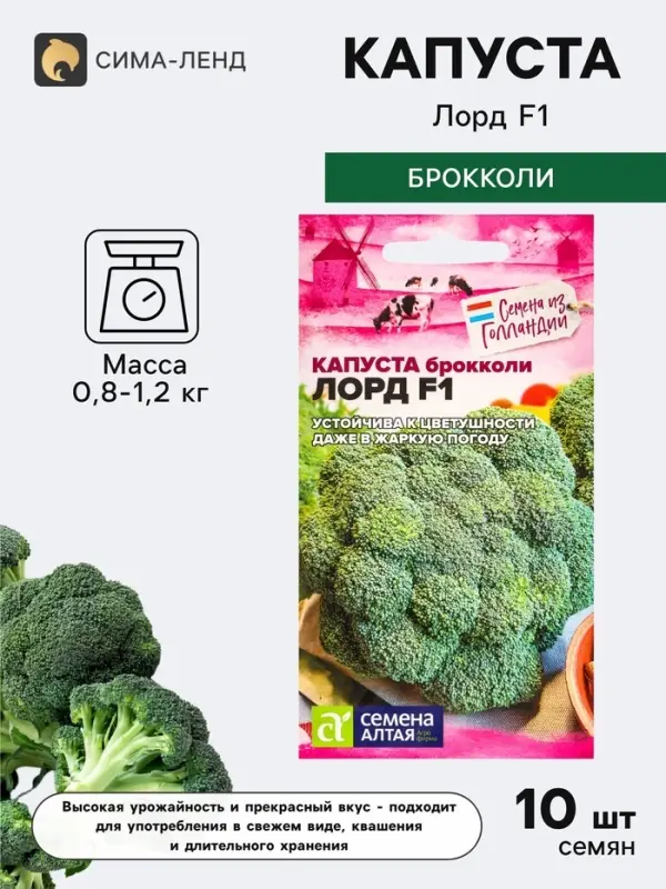 Семена Капуста брокколи &laquo;Лорд&raquo;, F1, 10 шт., &laquo;Семена Алтая&raquo;