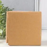 Сувенир керамика "Котейка белый полосатый" 6,5х5,3х11,2 см