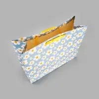 Пакет подарочный &laquo;Веселье&raquo;, XL, 49 х 40 х 19 см