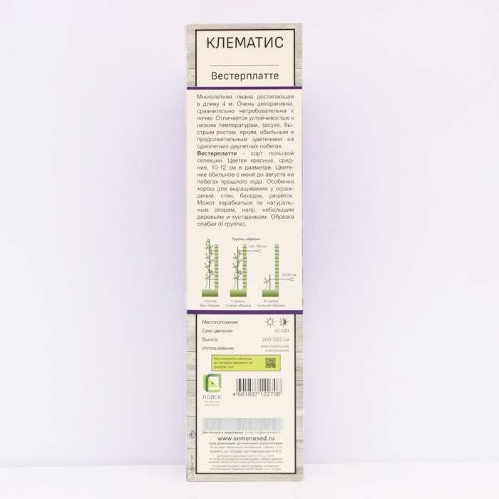Клематис крупноцветковый Клематис крупноцветковый "Вестерплатте", туба, 1 шт, Весна 2025
