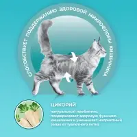 Сухой корм ONE для домашних кошек, индейка с цельными злаками 200 г