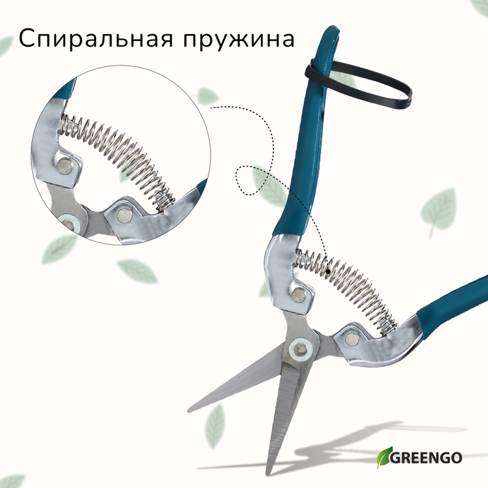 Ножницы садовые, 7 Ножницы садовые, 7" (18 см), с металлическими ручками, обрезиненная ручка, Greengo