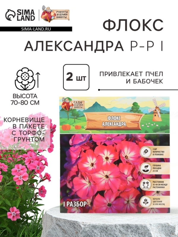 Флокс «Александра» корневище в пакете с торфогрунтом, р-р I, 2 шт.