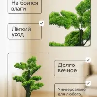 Дерево искусственное &laquo;Бонсай Кабудати&raquo;, h=70 см