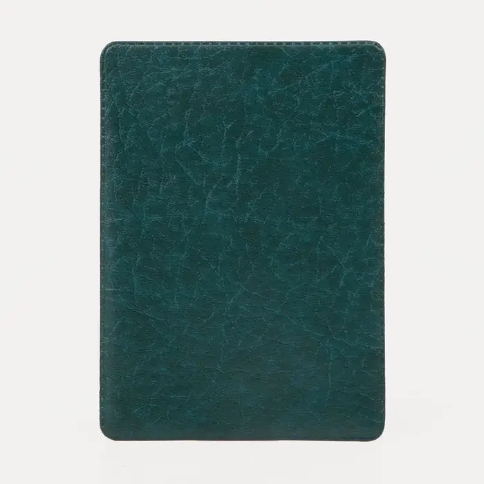 Обложка для проездного, пропуска, цвет зелёный Обложка для проездного, пропуска, цвет зелёный