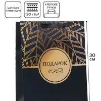Пакет подарочный вертикальный &laquo;Подарок&raquo;, M, 25.5&times;30&times;9 см