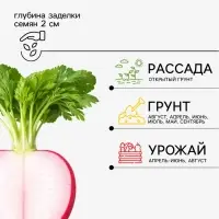 Семена Редис &laquo;16 дней&raquo;, 2 г, &laquo;Агрофирма АЭЛИТА&raquo;