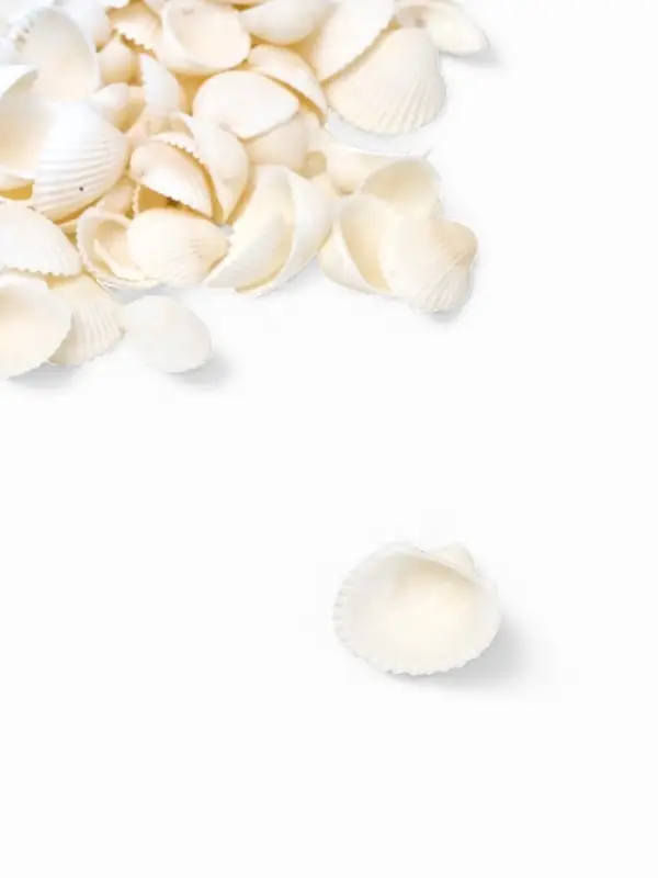 Набор ракушек декоративных 1.5-3 см, 100 г