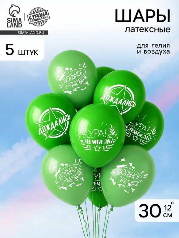 Воздушные шары латексные 12" &laquo;Дембель&raquo;, 5 шт.