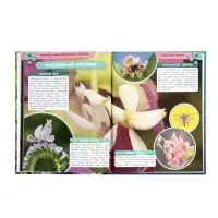 Энциклопедия «Аксолотль. Самые удивительные животные» 405007 Энциклопедия «Аксолотль. Самые удивительные животные» 405007