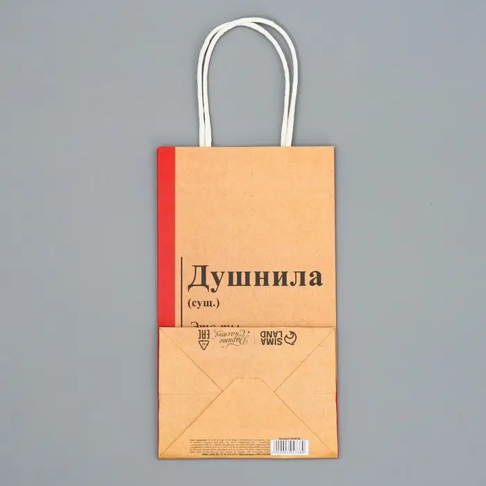 Пакет подарочный крафтовый, упаковка, «Душнила», 12 х 21 х 9 см