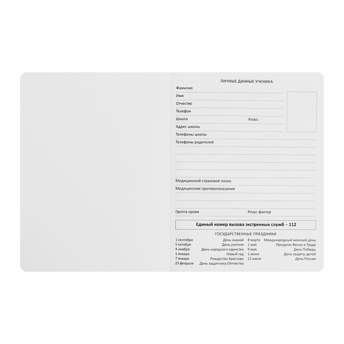 Дневник универсальный для 1-11 класса Fashion Girl, твёрдая обложка, искусственная кожа, с поролоном, ляссе, 80 г/м2