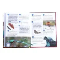 Энциклопедия российского школьника &laquo;Птицы&raquo;