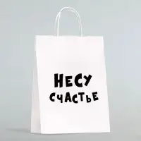 Пакет подарочный «Несу счастье », 24×14×28 см