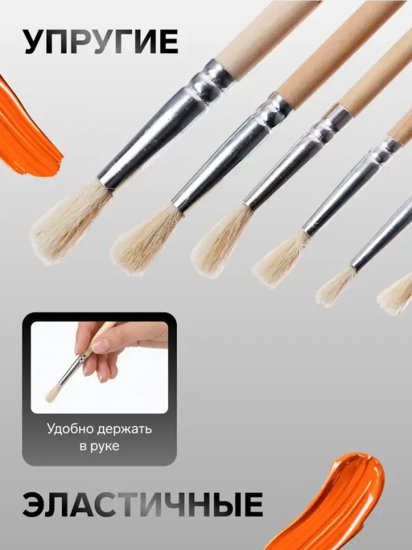 Набор кистей для рисования, коза, 6 штук: № 2, 4, 6, 8, 10, 12, круглые, деревянная ручка, международный размер