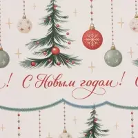 Набор упаковочной бумаги &laquo;Зимняя история&raquo;, 4 листа, глянец, 70 &times; 100 см