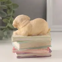 Фигурка полистоун &laquo;Щенок спит на книгах&raquo;, 9&times;7&times;8.5 см
