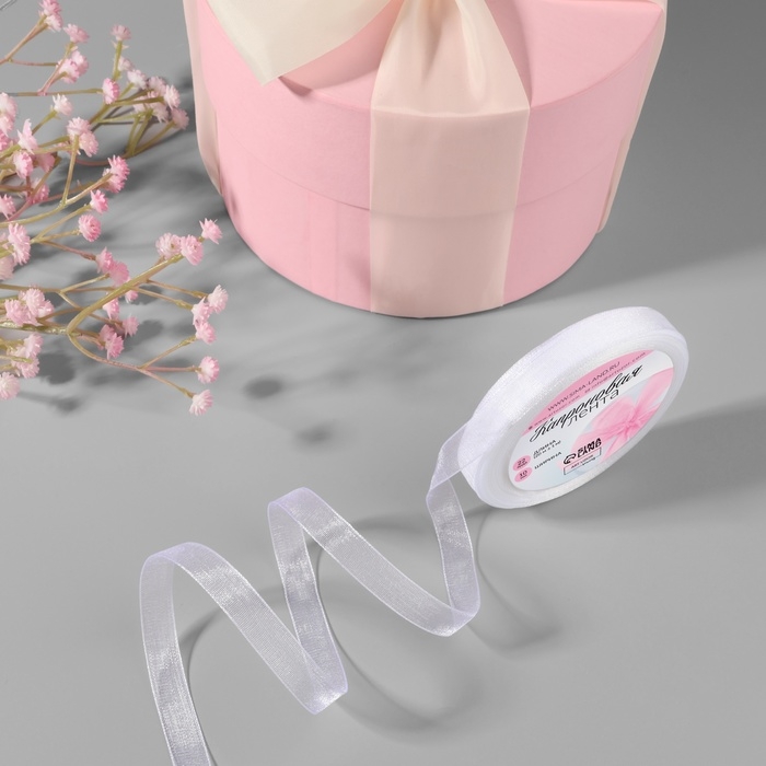 Лента капроновая, 10 мм, 20 ± 1 м, цвет белый №1 Лента капроновая, 10 мм, 20 ± 1 м, цвет белый №1